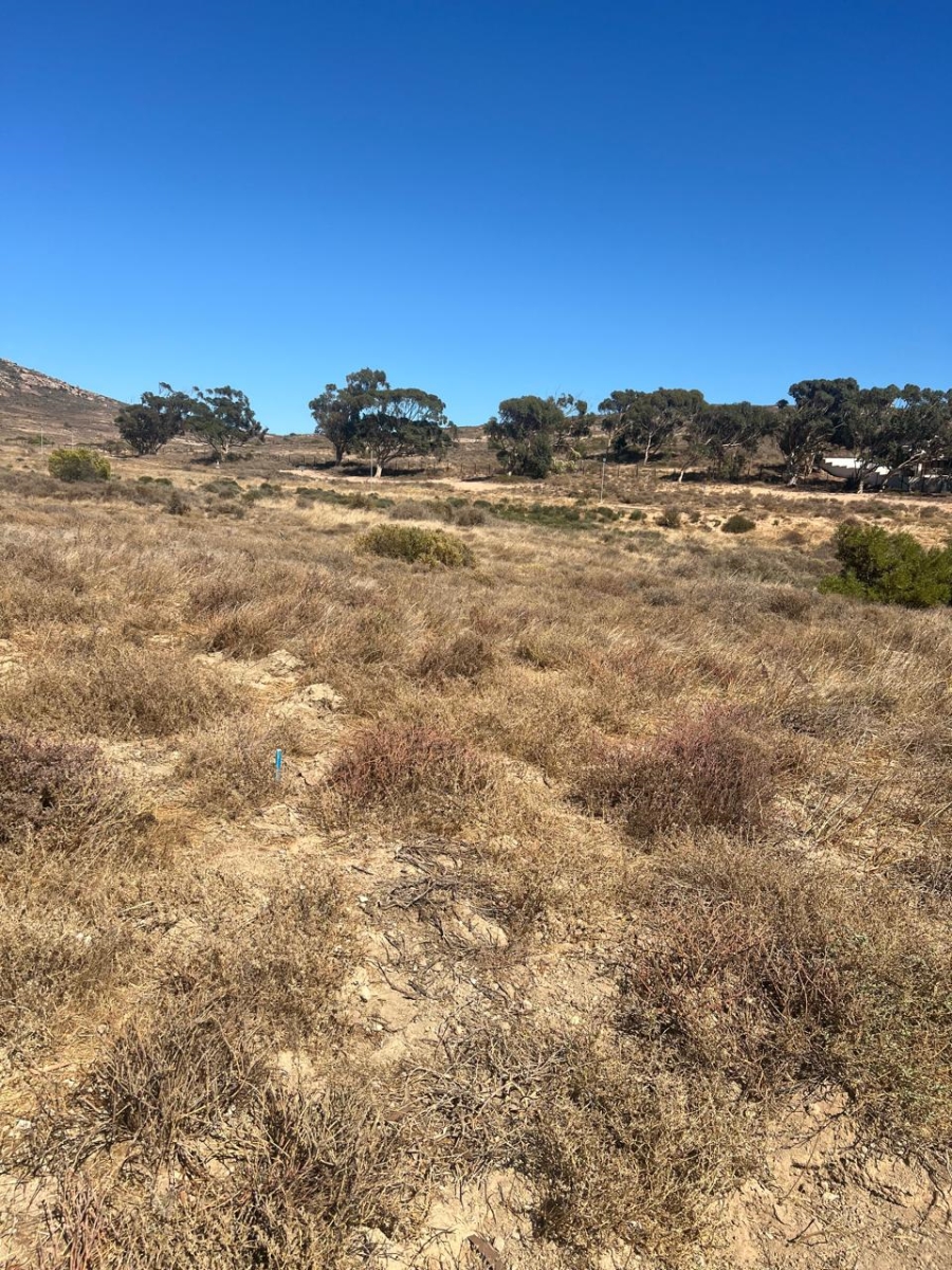 Commercial Property for Sale in St Helena Views Western Cape